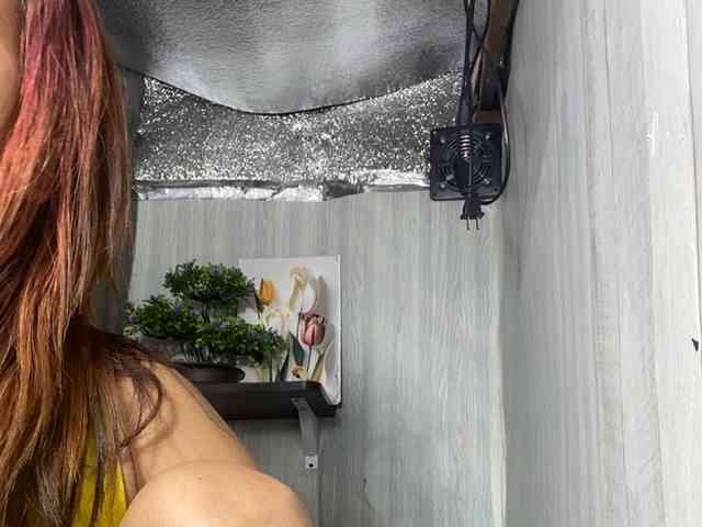 Rainie webcam