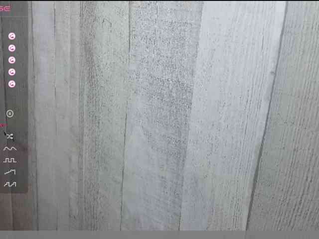 Rainie webcam