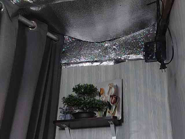 Rainie webcam