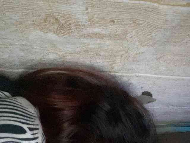 Rainie
