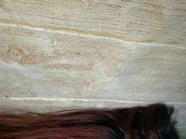 Rainie webcam