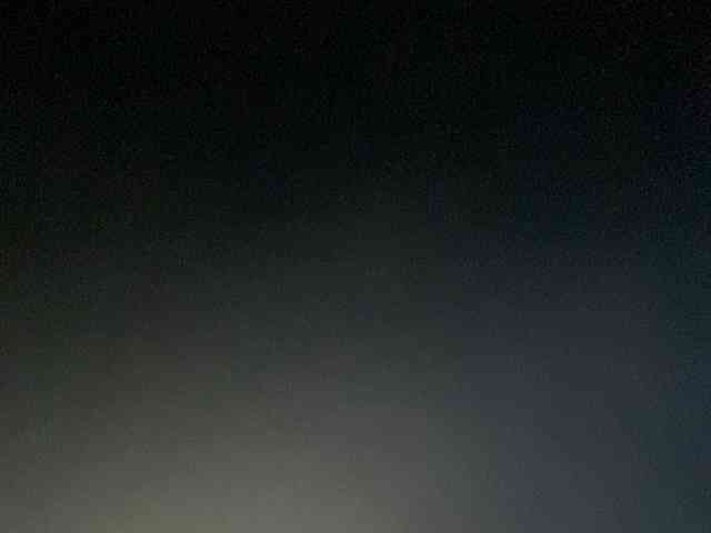 Rainie webcam