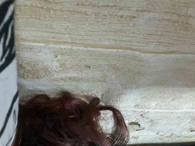 Rainie webcam