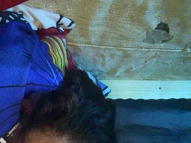Rainie webcam