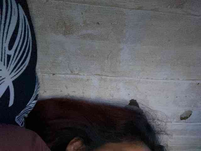 Rainie webcam