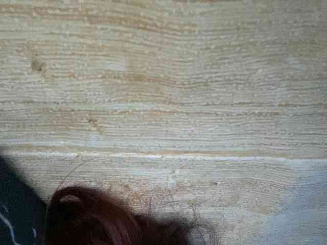 Rainie webcam