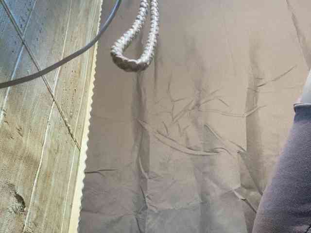 Rainie webcam