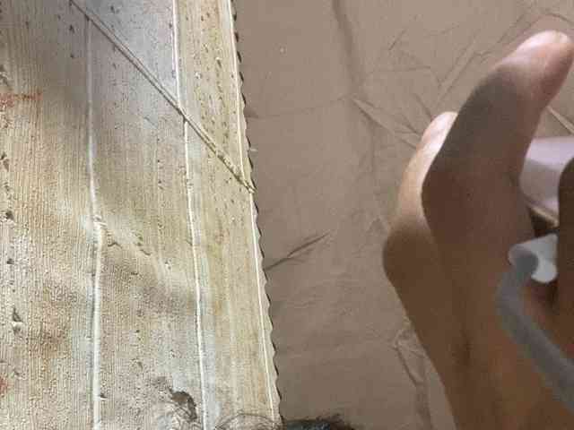 Rainie webcam