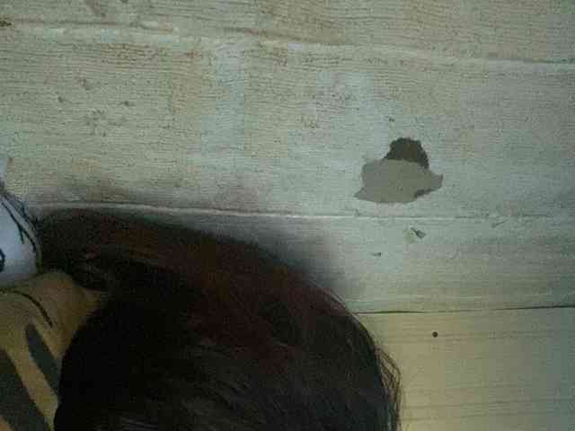 Rainie webcam