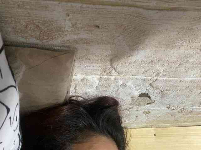 Rainie