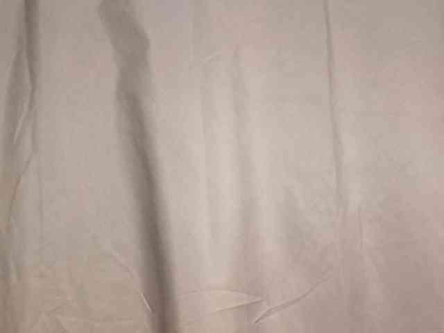 Rainie webcam