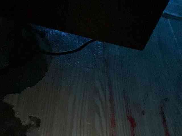 Rainie webcam