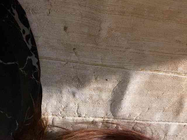 Rainie webcam