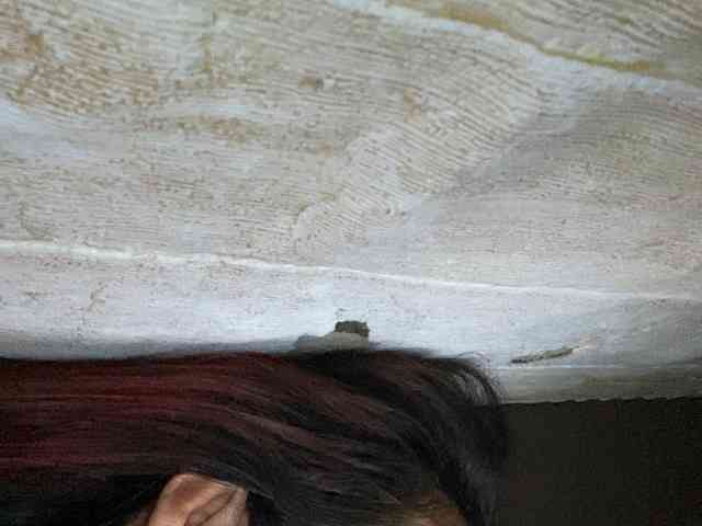 Rainie