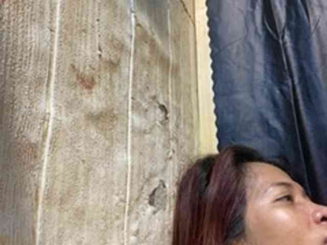 Rainie webcam