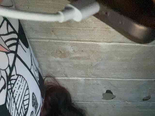 Rainie webcam