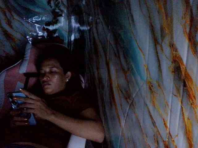 rasberrykat webcam