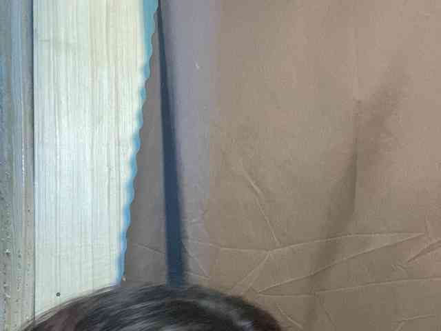 Asiankitties
