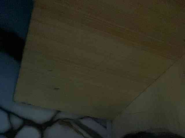Rainie webcam