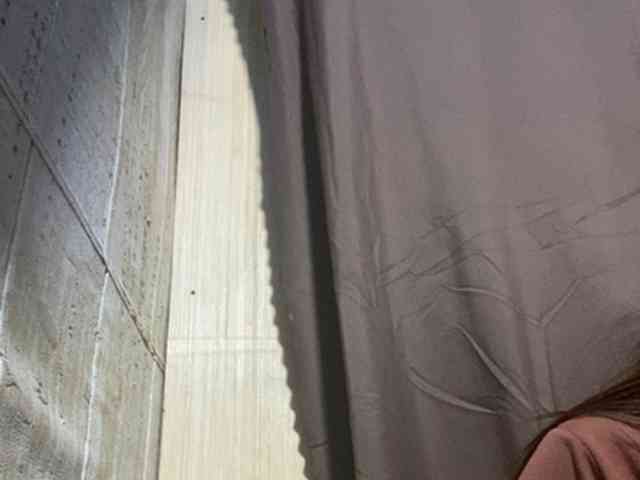 Rainie webcam