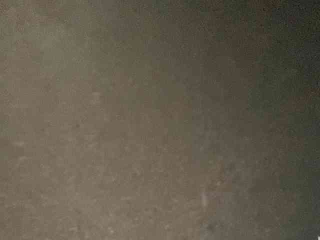 Rainie webcam