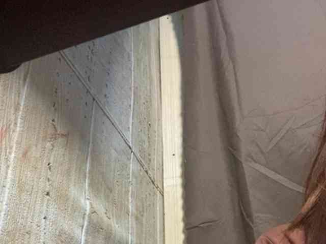 Rainie webcam
