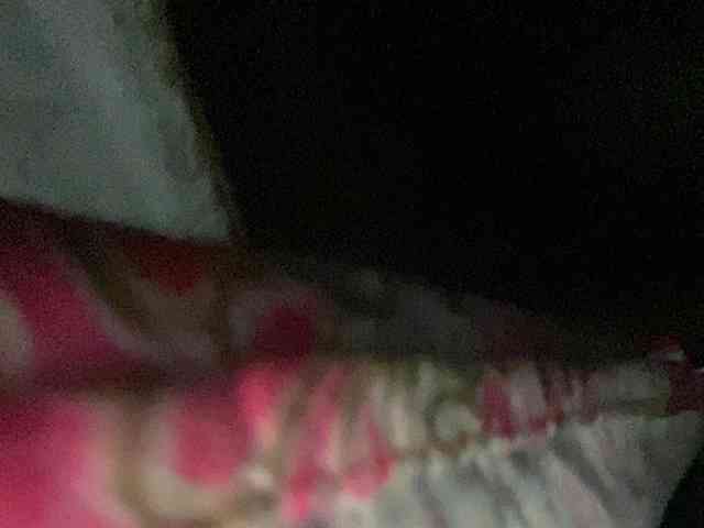 Rainie webcam
