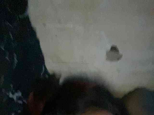 Rainie webcam