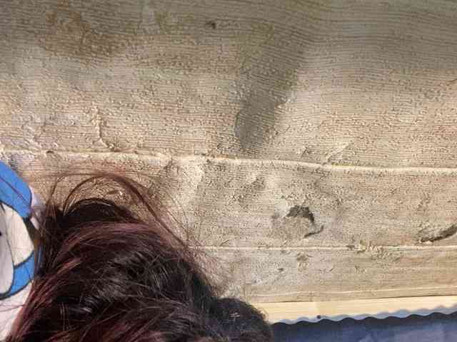 Rainie webcam