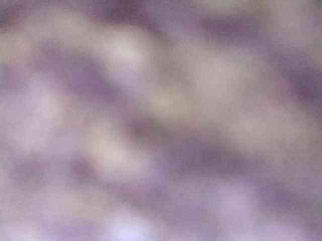 MoonFlowers webcam
