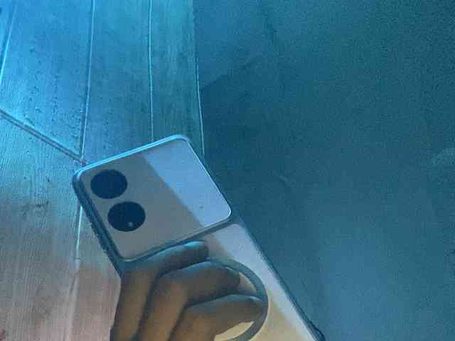 Rainie webcam