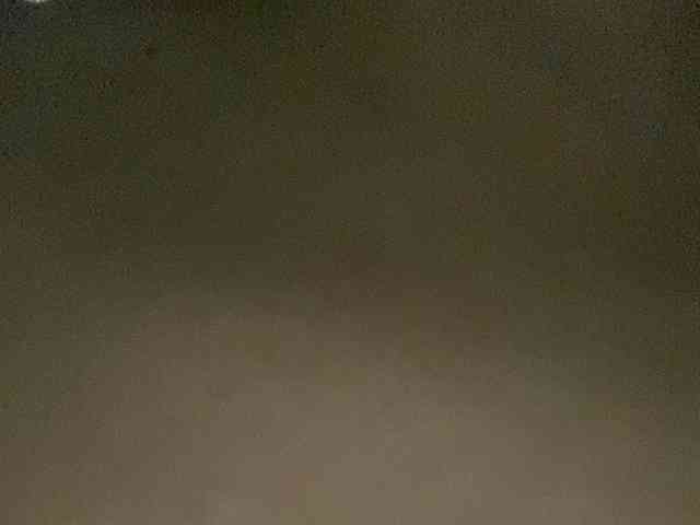 Rainie webcam
