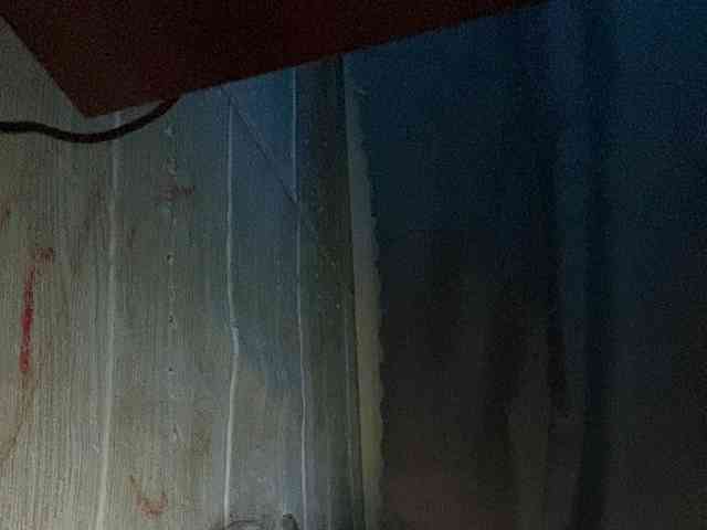 Rainie webcam