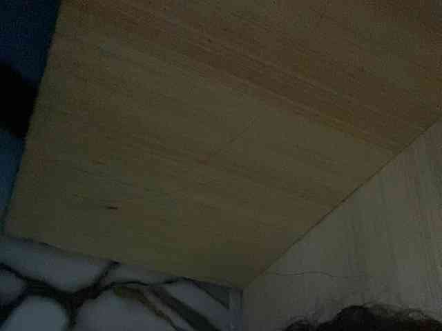 Rainie webcam