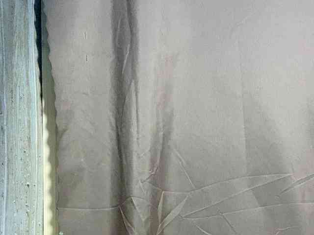 Rainie webcam