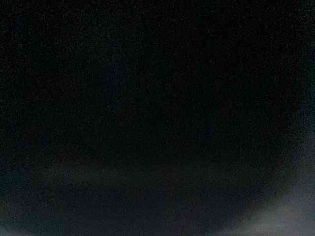 Rainie webcam