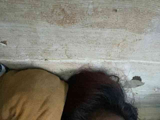 Rainie webcam