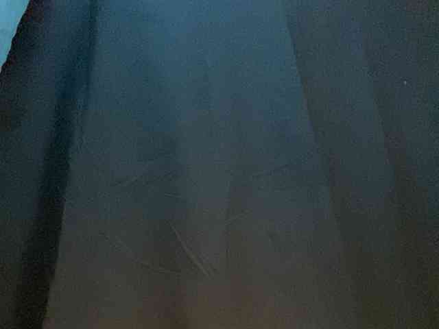 Rainie webcam
