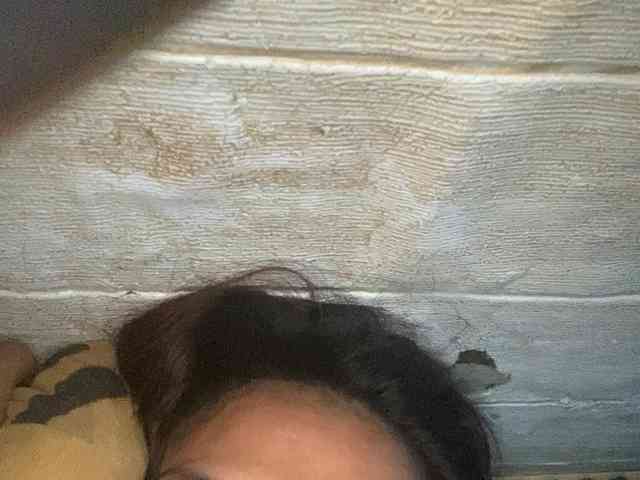 Rainie webcam