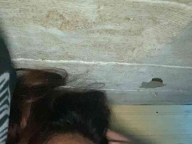 Rainie