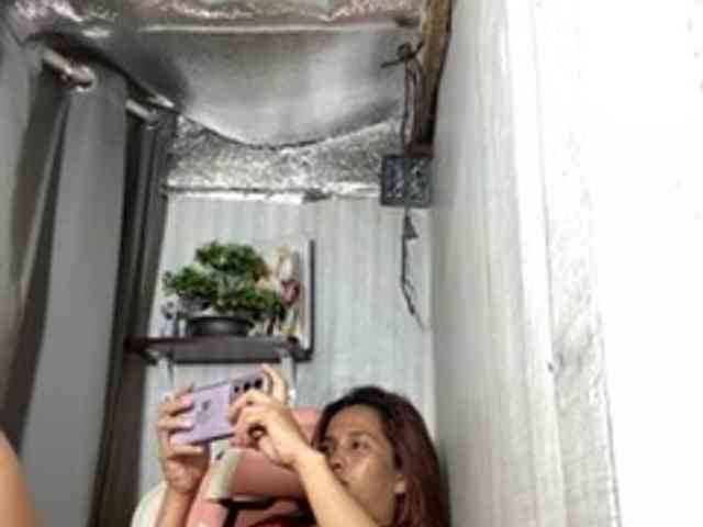 Rainie