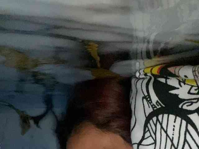 Rainie webcam