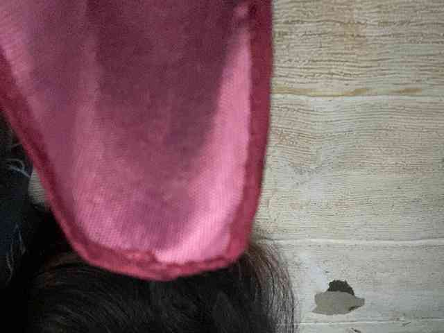 Rainie webcam