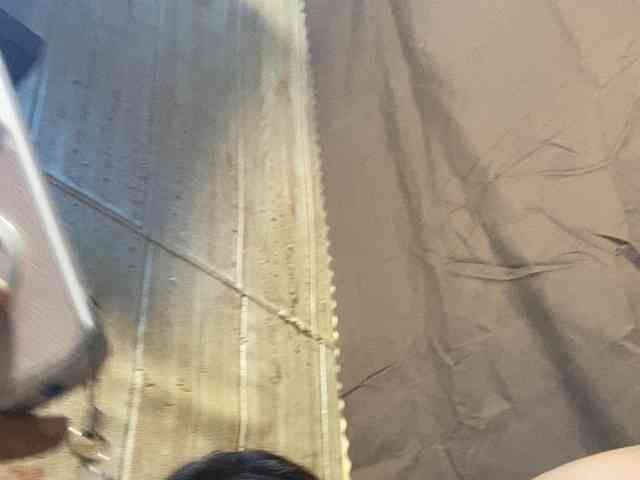 Rainie webcam