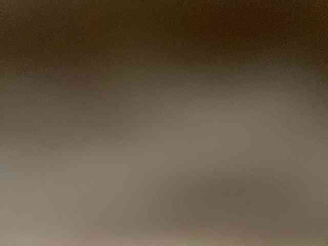 Rainie webcam