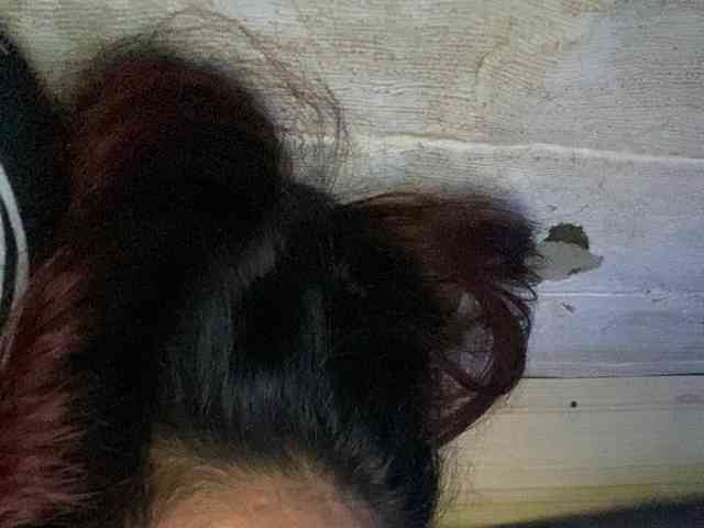 Rainie webcam