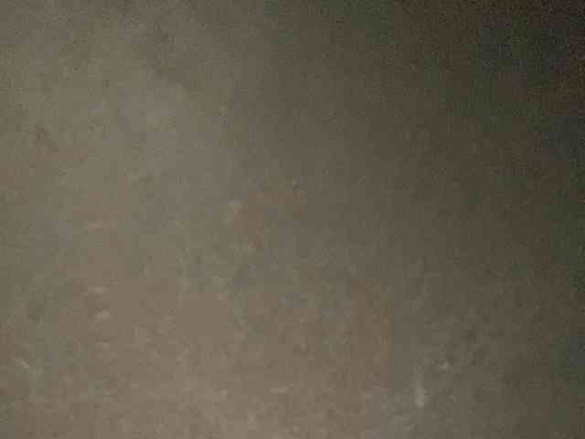 Rainie webcam