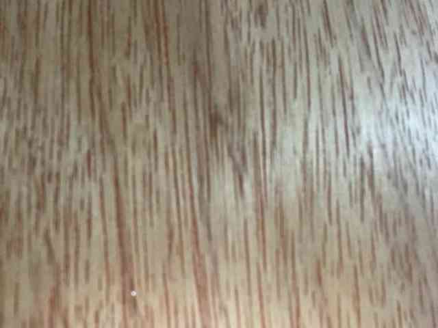 Rainie webcam