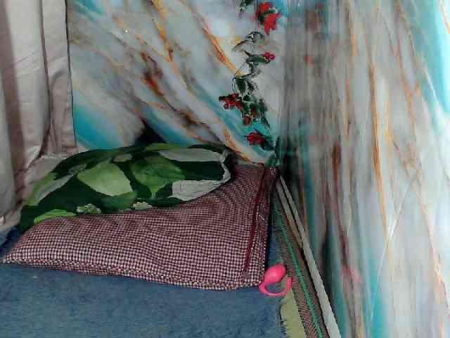 MoonFlowers webcam
