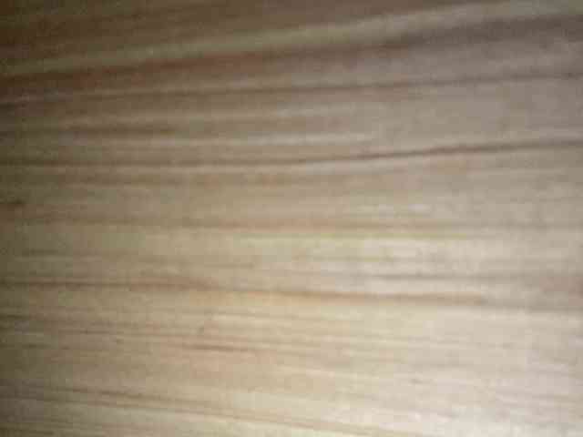Rainie webcam